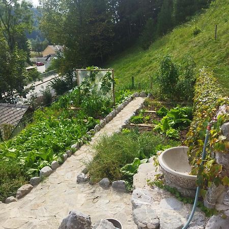 Natur Apartma Rudi Begunje na Gorenjskem Exterior foto